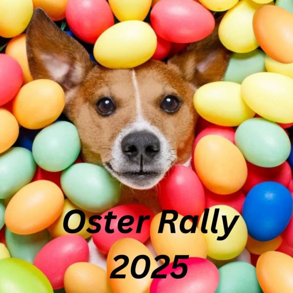 Oster Rally - 12.04.2025 - Samstsg 11:00-14:00 Uhr