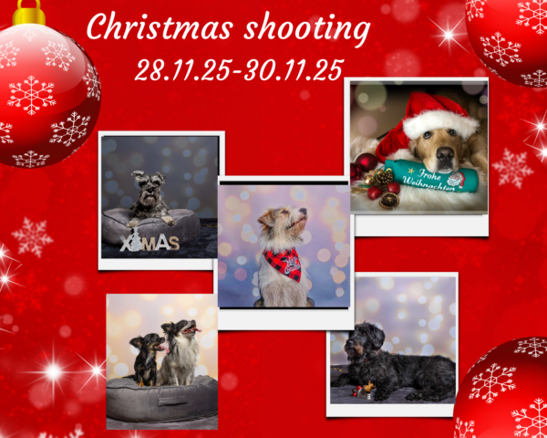 Weihnachtliches Fotoshooting - 28.11.25 - 30.11.25