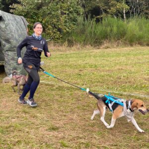 Cani Cross Workshop 4Tage 
07.11.26 , 14.11.26 , 21.11.26 , 27.11.26