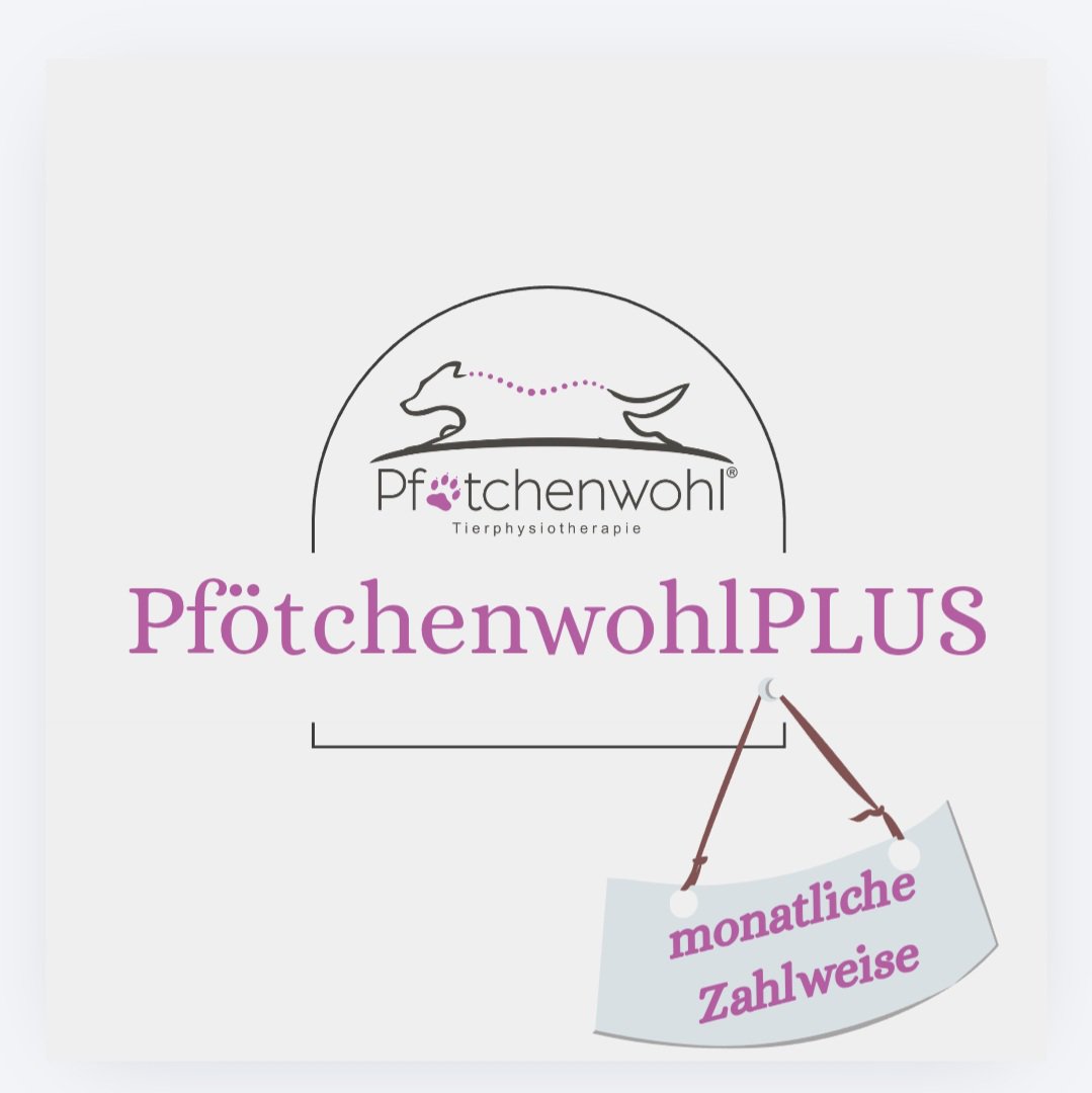 PfötchenwohlPlus mit Monatsabrechnung