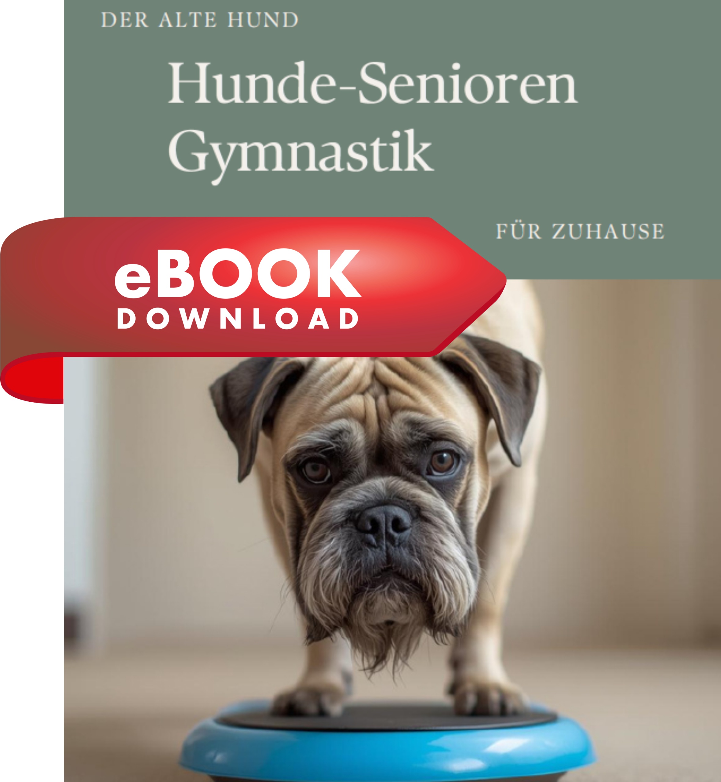 Hunde-Senioren Gymnastik – eBook für zuhause