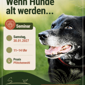 Seminar: Wenn Hunde alt werden..Sa 30.01.27 von 11 -14 Uhr