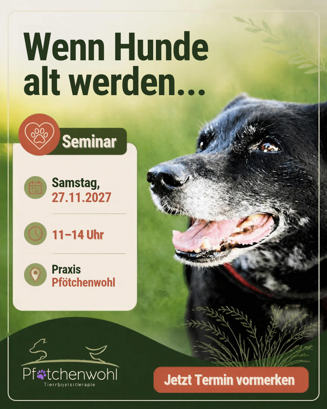 Seminar: Wenn Hunde alt werden..Sa 27.11.27 von 11 -14 Uhr