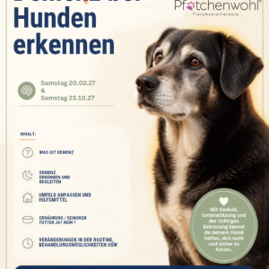 Demenz bei Hunden
Sa: 23.10.27